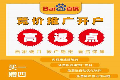 行业领先的SEM竞价广告投放案例